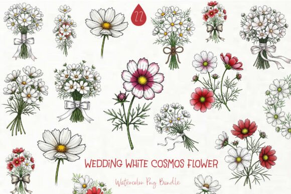 Wedding White Cosmos Flower Clipart: 22 Designs for Your Projects